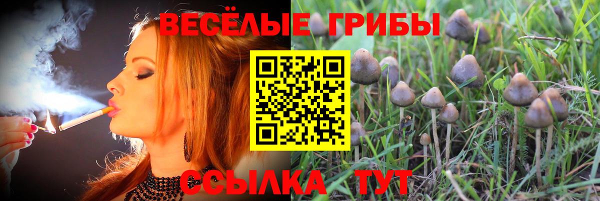 Галлюциногенные грибы мухоморы Учалы